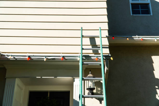 Best Aluminum Siding Installation  in Little Elm, TX